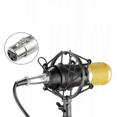 Конденсаторный микрофон Набор studio BM800