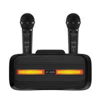 Портативная караоке система ST-2028 / перезаряжаемая колонка с 2 микрофонами