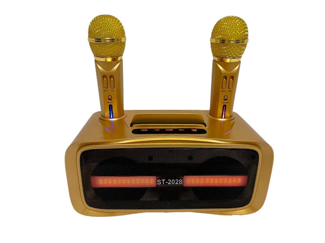 Портативная караоке система ST-2028 / перезаряжаемая колонка с 2 микрофонами