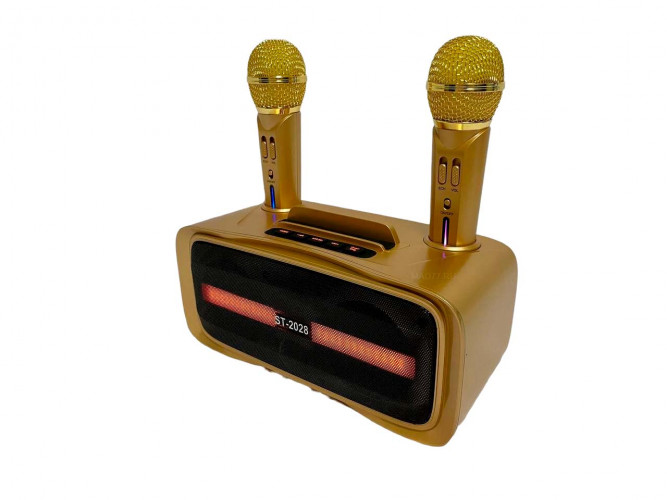 Портативная караоке система ST-2028 / перезаряжаемая колонка с 2 микрофонами