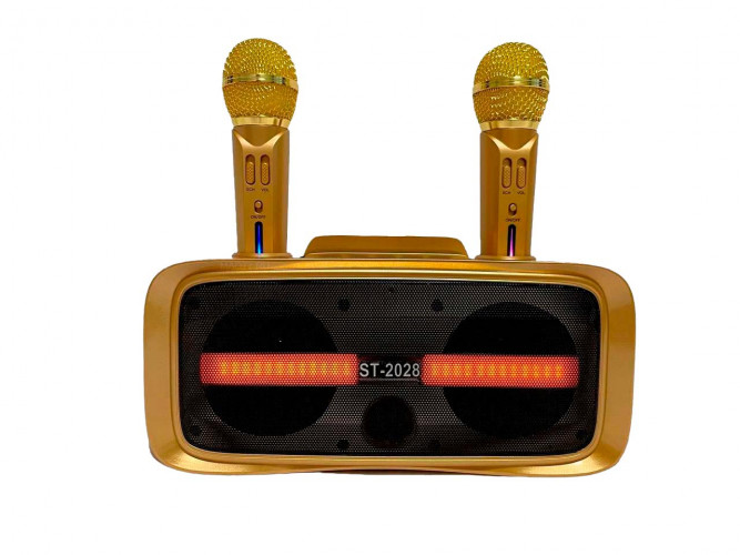 Портативная караоке система ST-2028 / перезаряжаемая колонка с 2 микрофонами