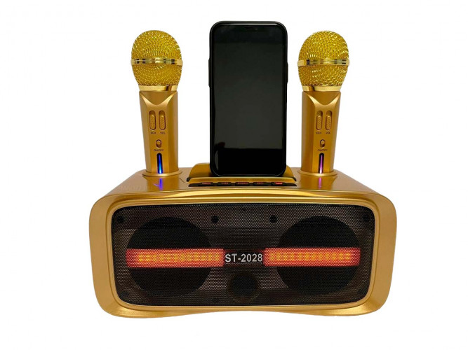 Портативная караоке система ST-2028 / перезаряжаемая колонка с 2 микрофонами
