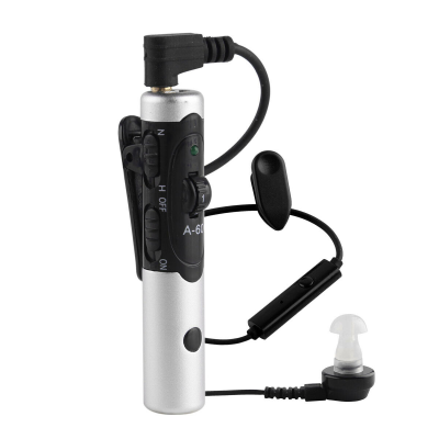 Усилитель звука Axon A-60