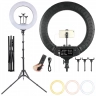 Кольцевая лампа 45см со штативом и пультом