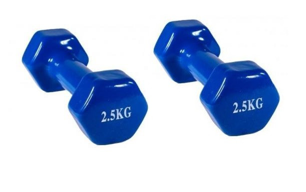 Набор гантелей 2 шт по 2,5 кг виниловые цельнолитые