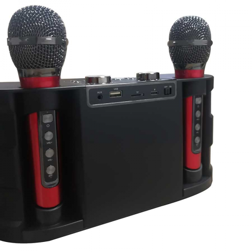 SU-YOSD YS-202 bluetooth колонка-караоке с беспроводными микрофонами